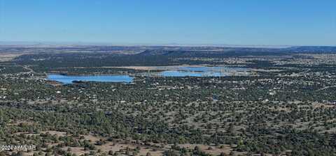 Lot C-1 Silver Lake 14 Acres --, Show Low, AZ 85901