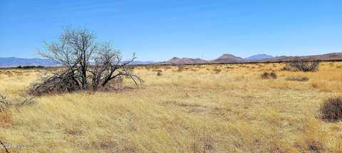 Lot 3 Highway 181 --, Pearce, AZ 85625