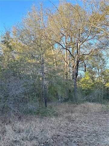 Beaver Pond Trail, Wilmer, AL 36587