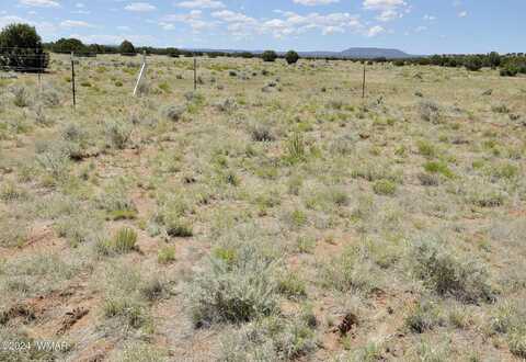 Hoss Ranch Rd, Concho, AZ 85924