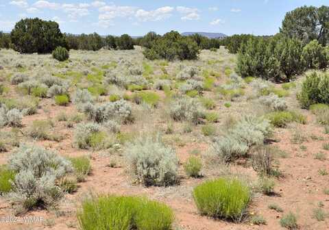 Hoss Ranch Rd, Concho, AZ 85924