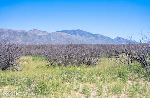 Acres S Martin Ranch Lot 1 Road, Willcox, AZ 85643