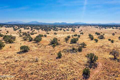 Silver Bear, # Lot 3, Williams, AZ 86046