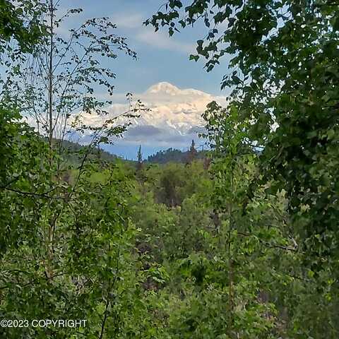 E Rampart Loop, Talkeetna, AK 99676