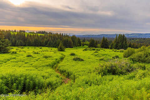 West Highlands Boulevard, Homer, AK 99603