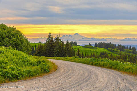 West Highlands Boulevard, Homer, AK 99603