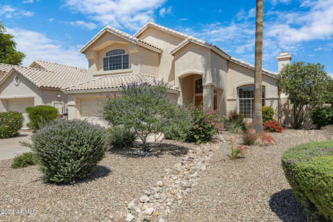 Willow, CHANDLER, AZ 85226