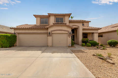 Ash, GILBERT, AZ 85233