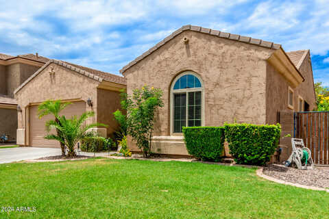 Sapphire, CHANDLER, AZ 85249