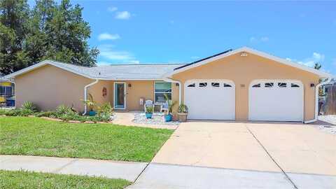 Rushmore, HOLIDAY, FL 34690