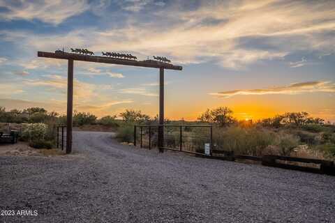 Black Bear, FLORENCE, AZ 85132