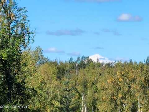 E Susitna Landing Rd, Willow, AK 99688