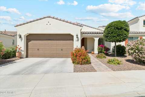 Village, LITCHFIELD PARK, AZ 85340