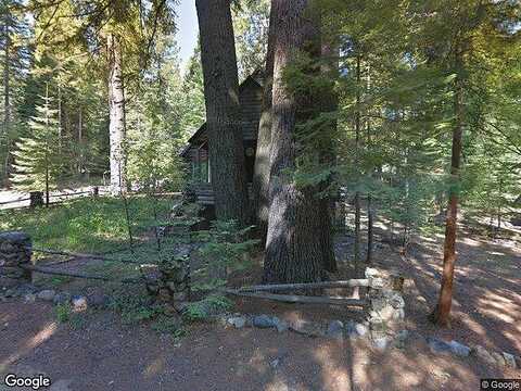 Cedar, FISH CAMP, CA 93623