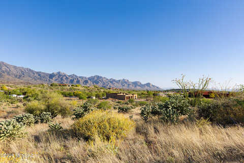 E Conrow Court, Saddlebrooke, AZ 85739