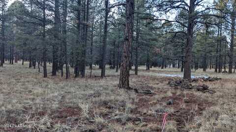 S Golden Meadow Trail, Williams, AZ 86046