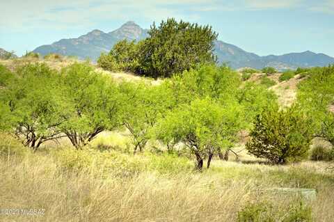 Tanglehead Lane, Patagonia, AZ 85624