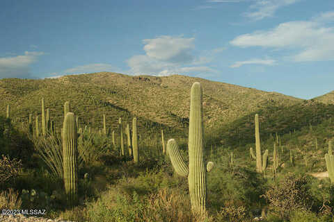 Placita Del Inca E, Tucson, AZ 85749