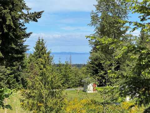 Chasewood Drive, Port Angeles, WA 98363