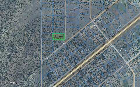 Co Road, Concho, AZ 85924