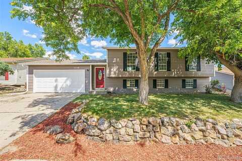 Fern, BROOMFIELD, CO 80020