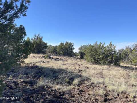 County Road, Concho, AZ 85924