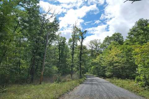 Cardinal, LURAY, VA 22835