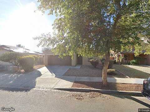 Larkspur, SURPRISE, AZ 85379