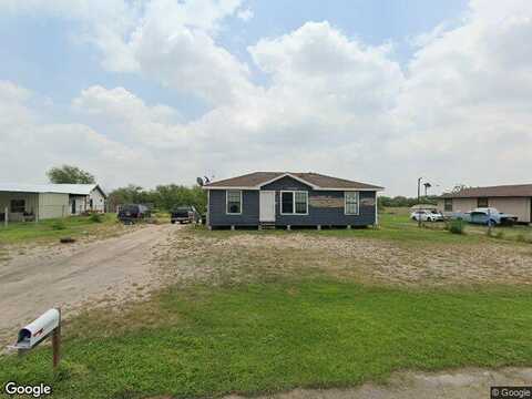 Queen Palm, PENITAS, TX 78576