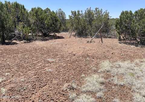 County Road, Concho, AZ 85924