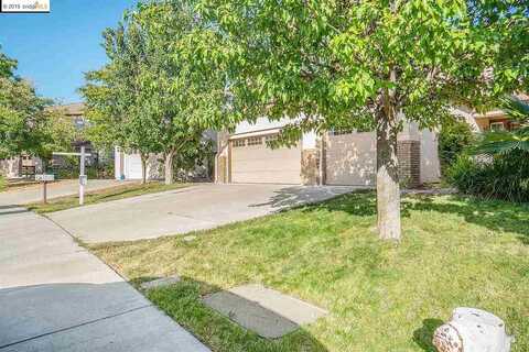 Redbud, ANTIOCH, CA 94509