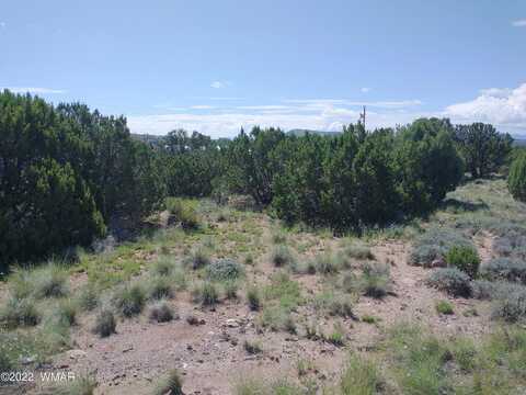 Dawn Lane, Concho, AZ 85924