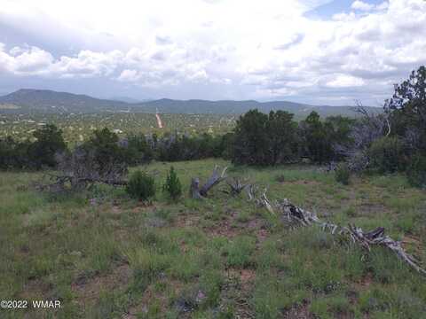 Co 8032 Road, Concho, AZ 85924