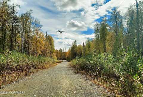 1969 S Clara Circle, Talkeetna, AK 99676