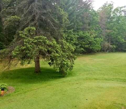 White Deer Trail, Prudenville, MI 48651