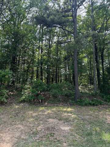 Lot 91 Block 15 Dave Creek Parkway, Fairfield Bay, AR 72088