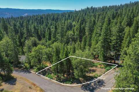 2690 Cheyenne Way, Arnold, CA 95223