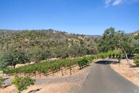 2910 Spring Mountain Road, Saint Helena, CA 94574