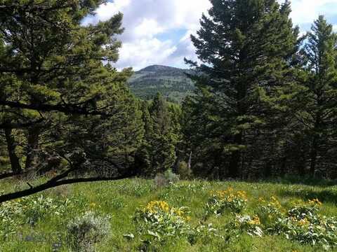 Lot 4 Sunflower Lane, Livingston, MT 59047