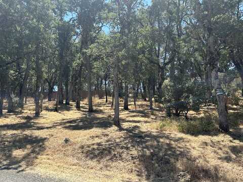 15583 33rd AVE, CLEARLAKE, CA 95422