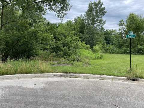 Lot 17 TEAL Avenue, Elgin, IL 60123