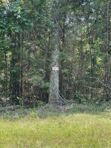 Lot 3 Pleasant Ridge Road, Greers Ferry, AR 72067