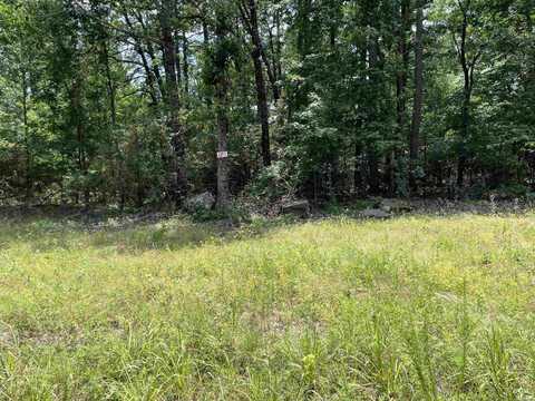 Lot 5 Pleasant Ridge Road, Greers Ferry, AR 72067