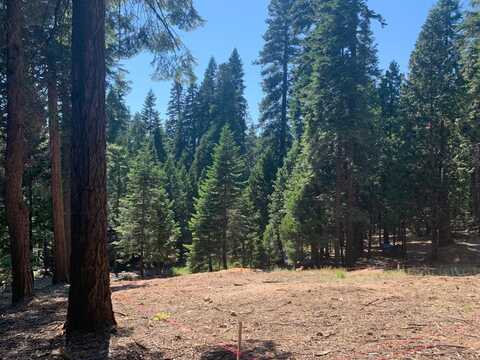 5125-24299 Hokan Circle, Camp Connell, CA 95223