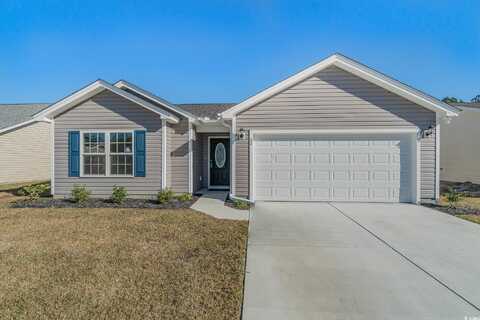 615 Snowy Owl Way, Conway, SC 29527