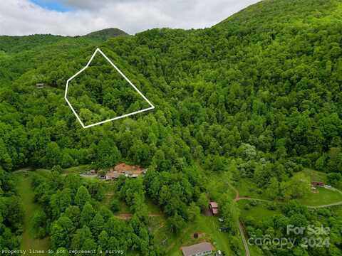 Stone House Trail, Clyde, NC 28721
