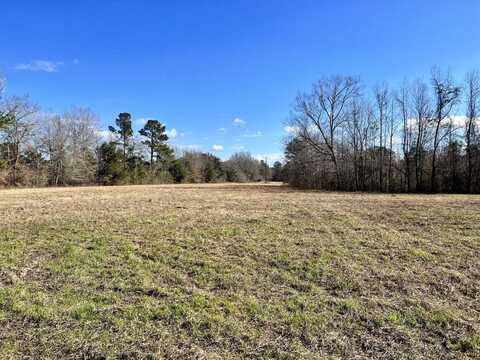 643 Dennis Ridge Road, Bonneau, SC 29431