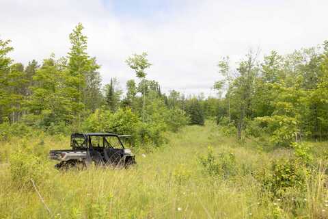 Brawley Road, Gould City, MI 49838