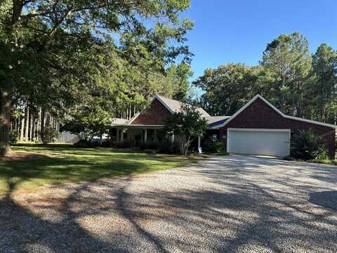 1190 Shellie Brown Rd, Louisville, MS 39339