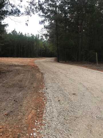 00 TRACT # 7 Burgetown Rd, Carriere, MS 39426